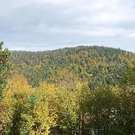 Chalet Le Petit Coeur Σαλέ *