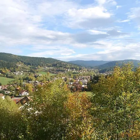 Σαλέ Chalet Le Petit Coeur Xonrupt-Longemer